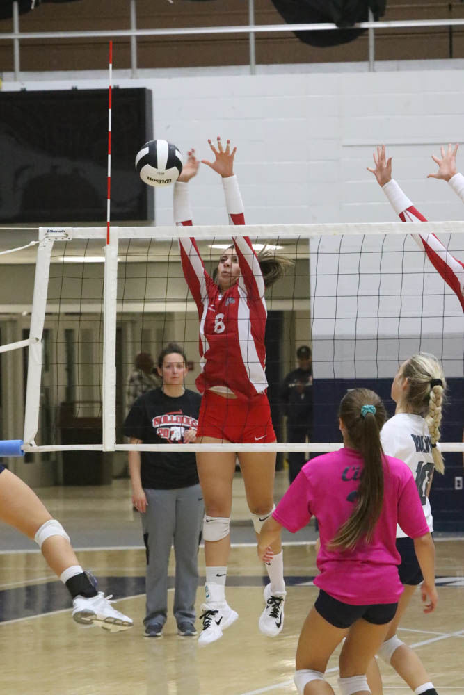 Gallery: Girls volleyball - Crown Point at Michigan City